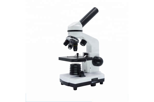 Microscópio Monocular Datasonic Modelo A11.1529